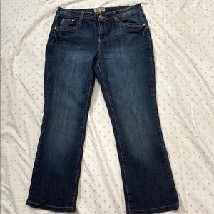 Earl Jeans Dark Blue Boot Cut Women's Jeans